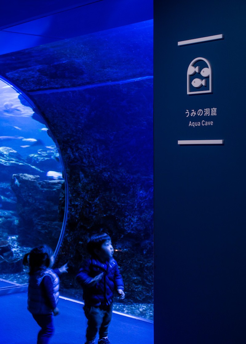 京都水族馆标识导视系统设计8