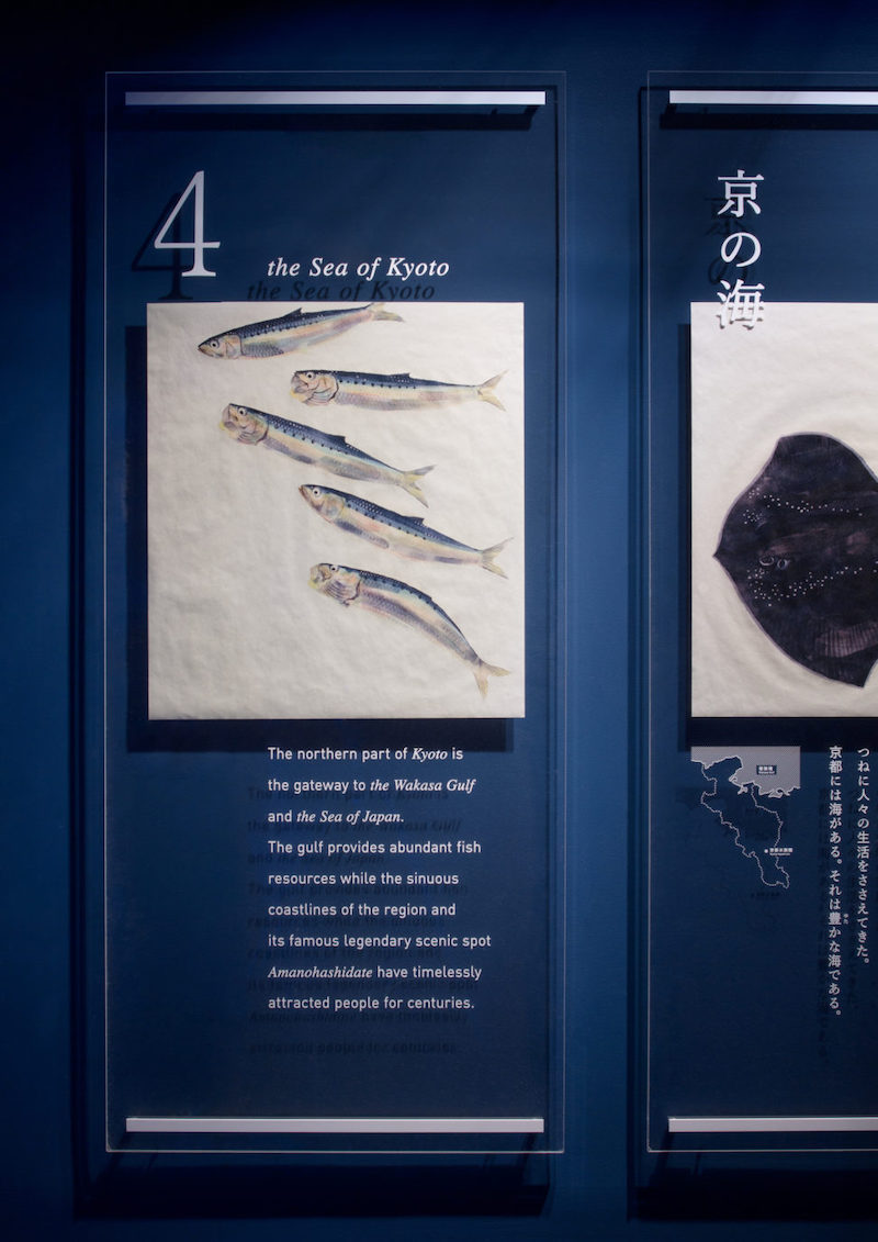 京都水族馆标识导视系统设计6