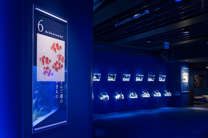 京都水族馆标识导视系统设计7