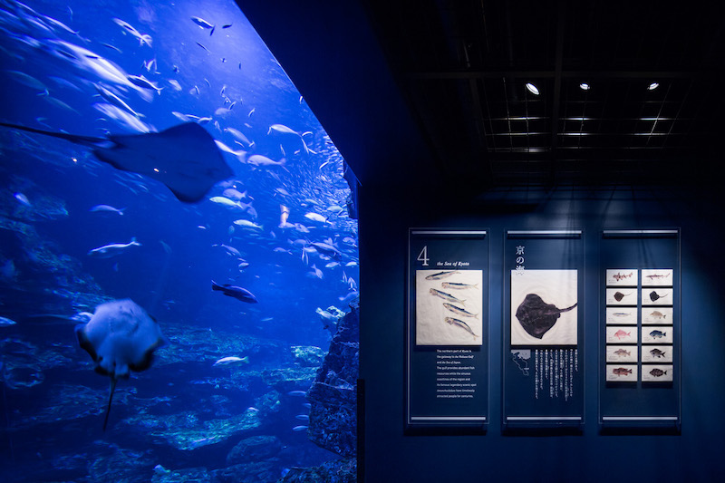 京都水族馆标识导视系统设计4
