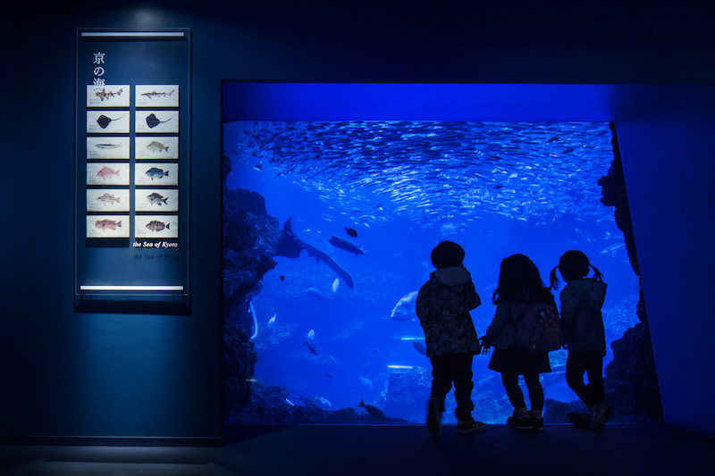 京都水族馆标识导视系统设计5